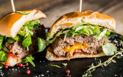 Juicy Lucy Chauffeur Led Tours