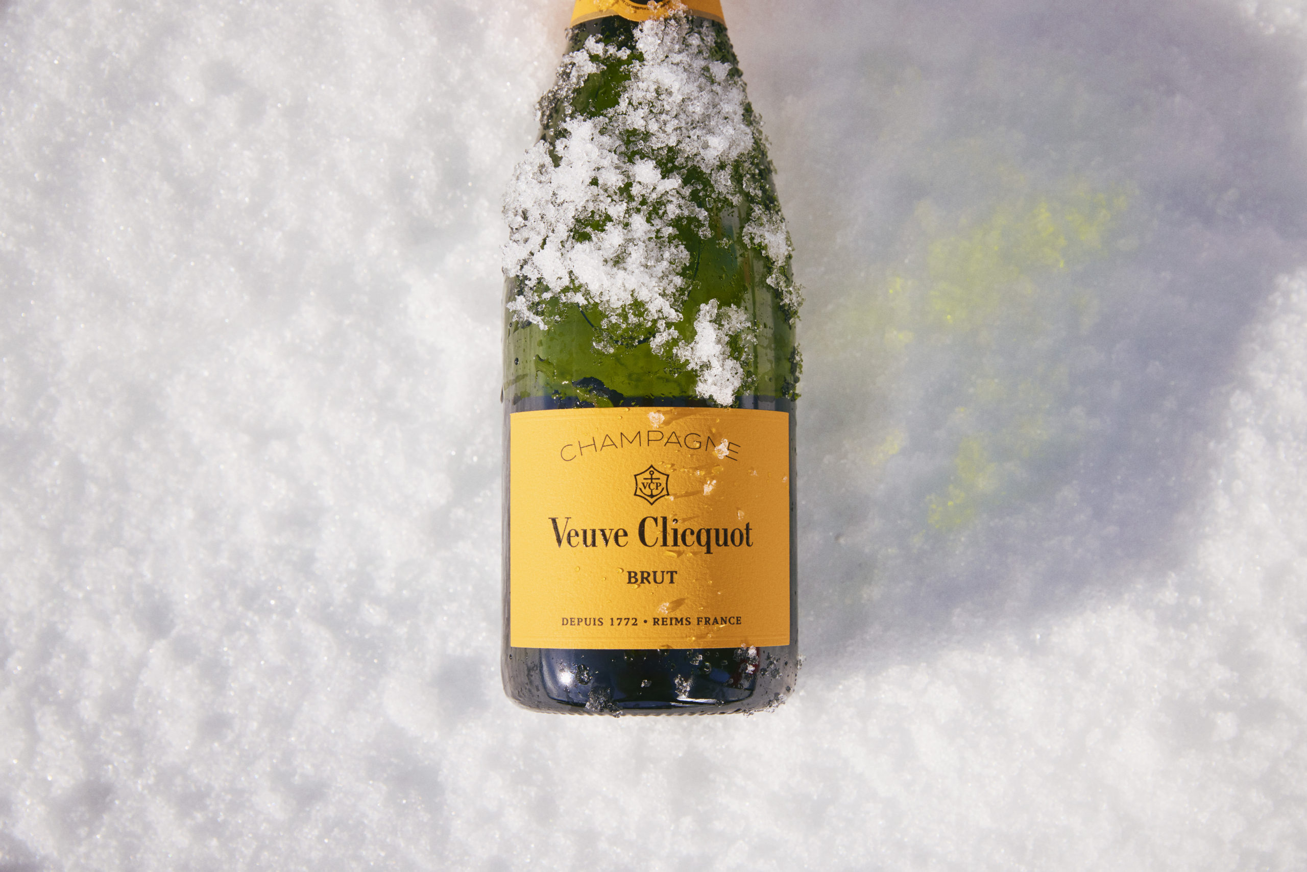 Grand Opening Celebration