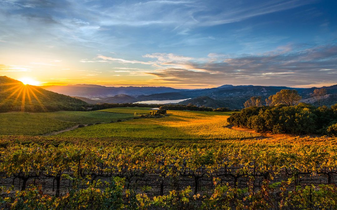 California Wine Dinner