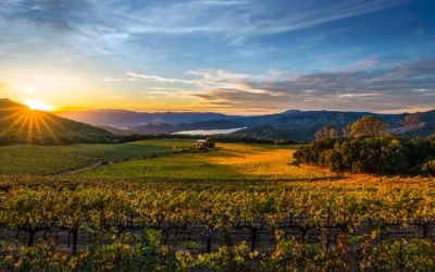 California Wine Dinner