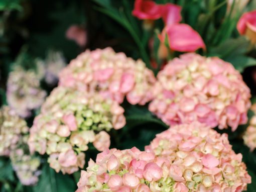 Blooms & Botanicals Spring Escape