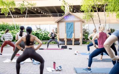 Summer House Sweat Series