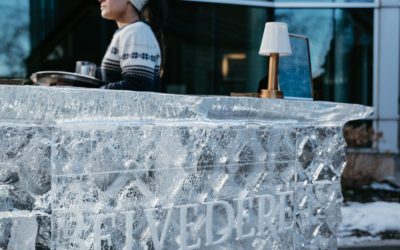 The Frost Bar by Belvedere