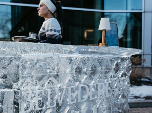 The Frost Bar by Belvedere