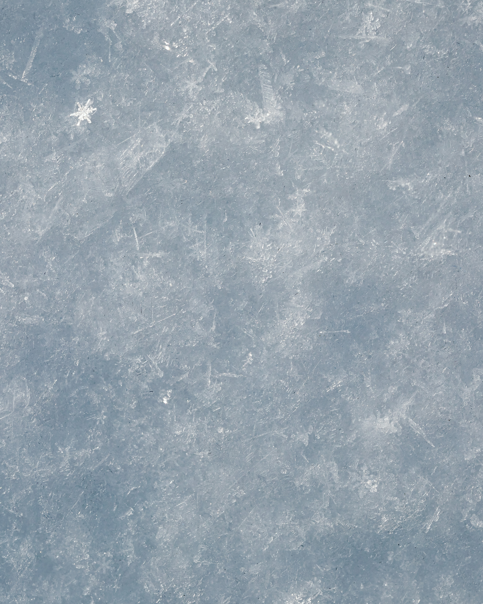 The Frost Bar by Belvedere